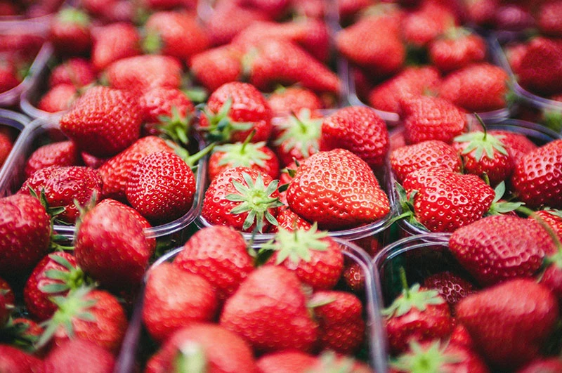 Strawberries Production
